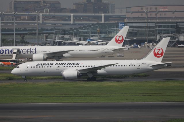 Boeing 787-9 Dreamliner (JA866J) - June 24, 2024:HND-PEK.
