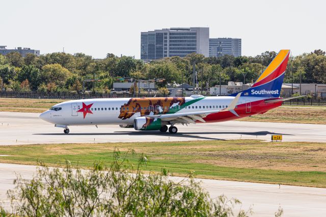 Boeing 737-800 (N8653A) - California themed 737 - I took this photo from the top of the parking garage.