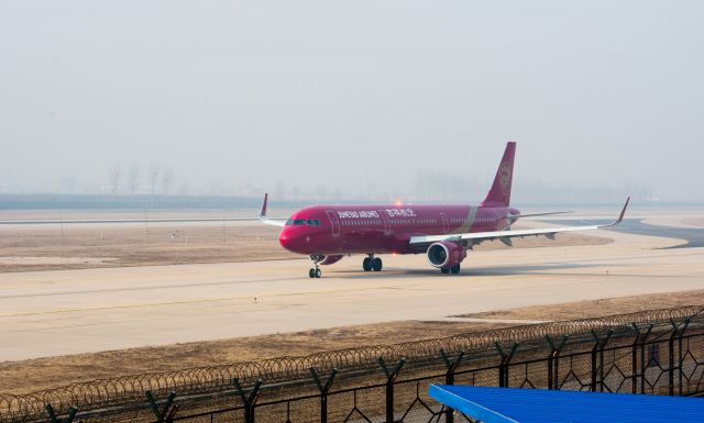 Airbus A321 (B-8317)
