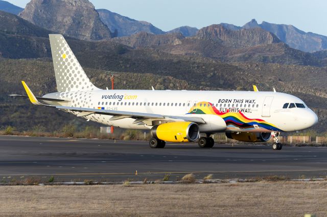 Airbus A320 (EC-LVS)
