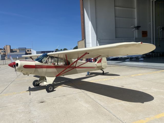 Piper L-21 Super Cub (N7775D) - Our baby. 