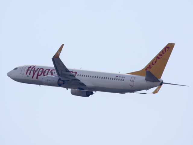 Boeing 737-800 (TC-CCP) - Take off runway 06 at Sabiha Gökçen airport, Istanbul, Turkey | 15 SEP 2014.