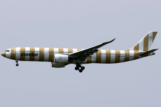 Airbus A330-900 (D-ANRH)