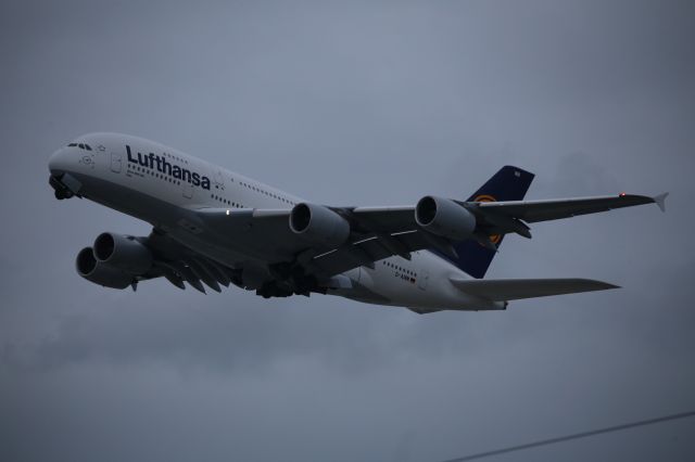 Airbus A380-800 (D-AIMM)