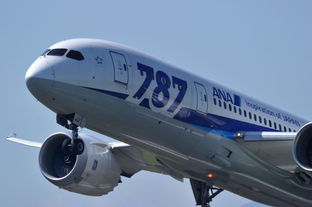 Boeing 787-8 (JA812A)