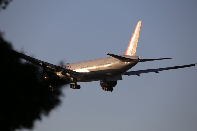Boeing 787-9 Dreamliner (TC-LJJ)