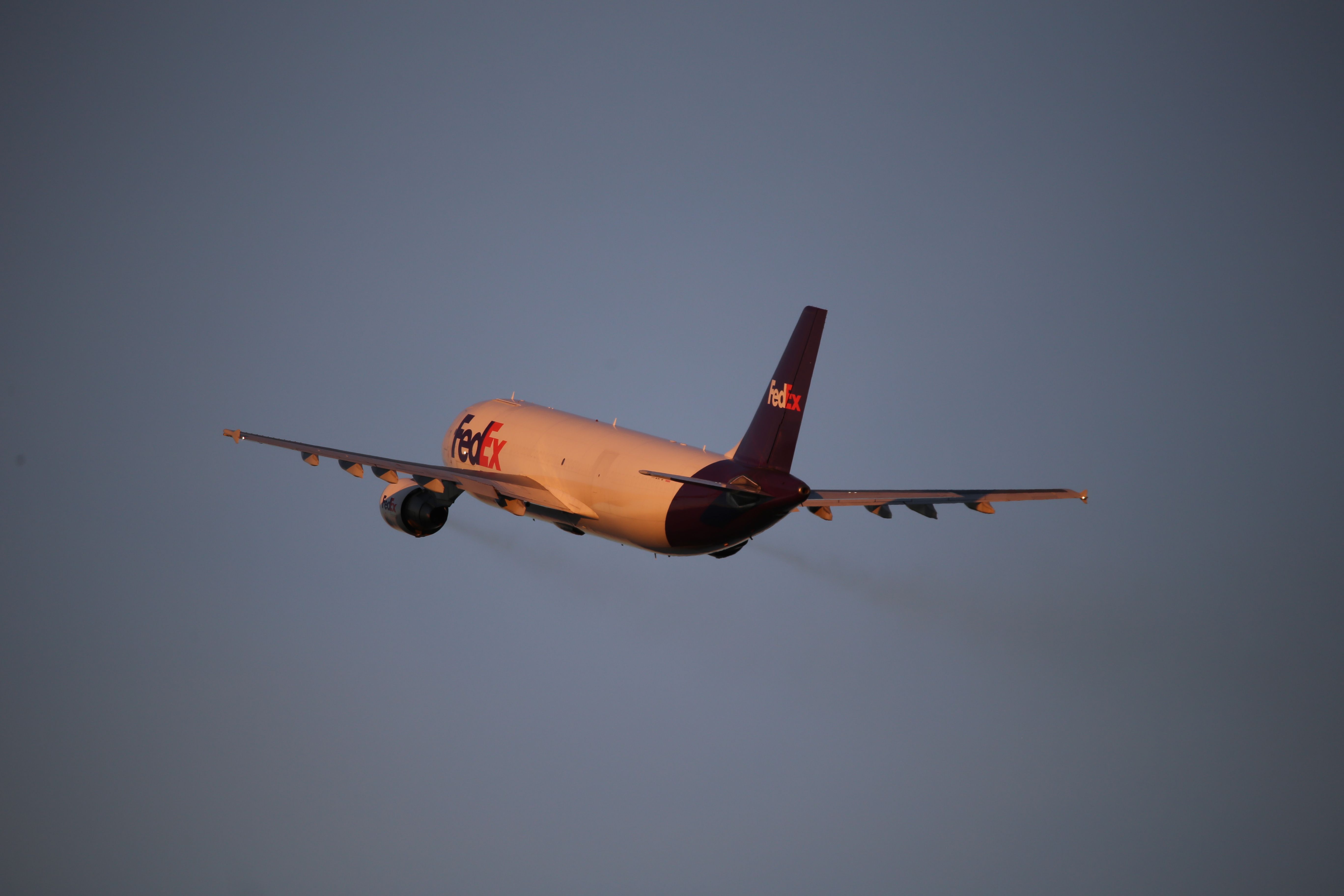 Airbus A300F4-600 (N723FD)