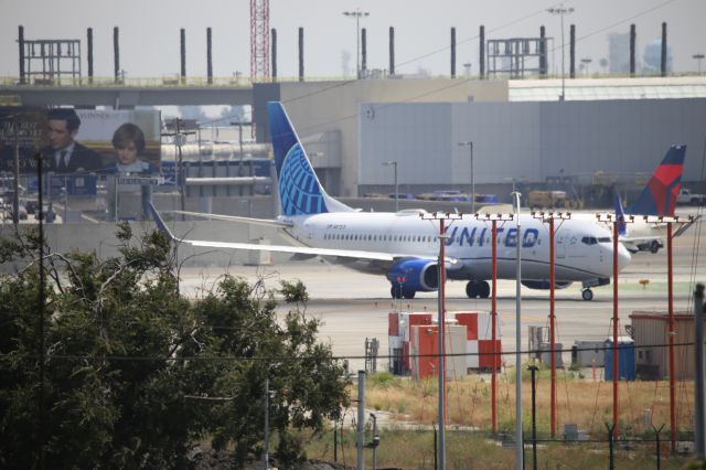 Boeing 737-800 (N87531)