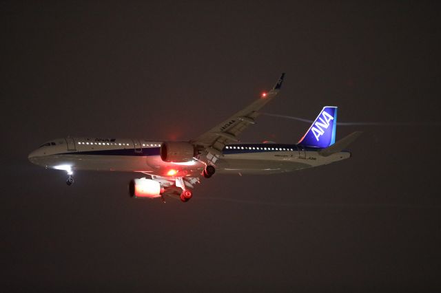 Airbus A321 (JA134A) - Sepember 3rd 2020:HND-HKD.