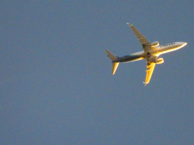 Boeing 737-800 (N513AS) - ASA727br /MCO-PDXbr /10/04/21