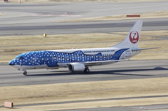 BOEING 737-400 (JA8939) - Taxing at Haneda Intl Airport on 2013/01/30 "Special Whale shark c/s"