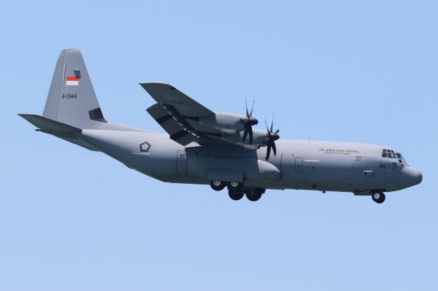 Lockheed C-130 Hercules (A1344) - SkU31