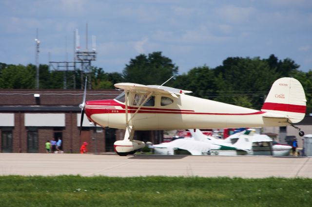 Cessna 140 (N2635N)