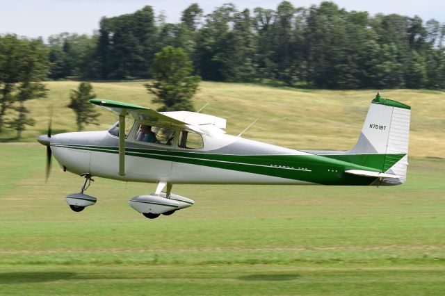 Cessna Skyhawk (N7019T)