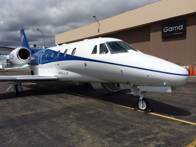 Cessna Citation Excel/XLS (N502UP)