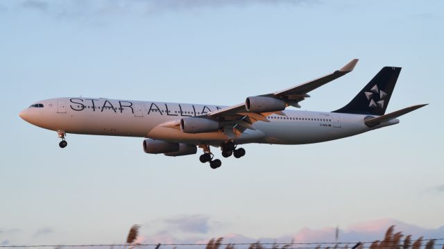 Airbus A340-300 (D-AIFA) - A Lufthansa Cityline Airbus A340-343 landing at Philadelphia International Airport on December 10th, 2016.