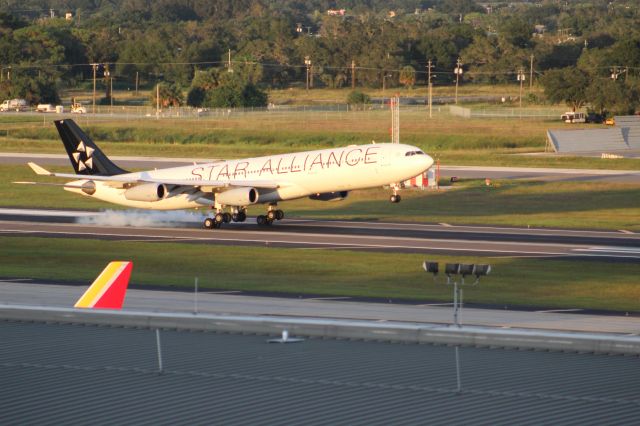 Airbus A340-300 (D-AIFF) - Lufthansa 482 smoking the mains after a haul from EDDF.