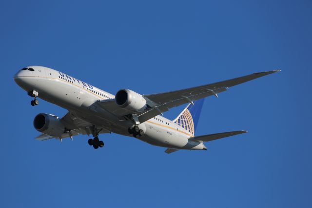 Boeing 787-8 (N20904)