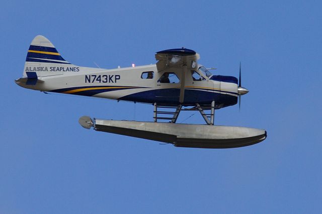 De Havilland Canada DHC-2 Mk1 Beaver (N743KP) - Passenger looking at the photographer