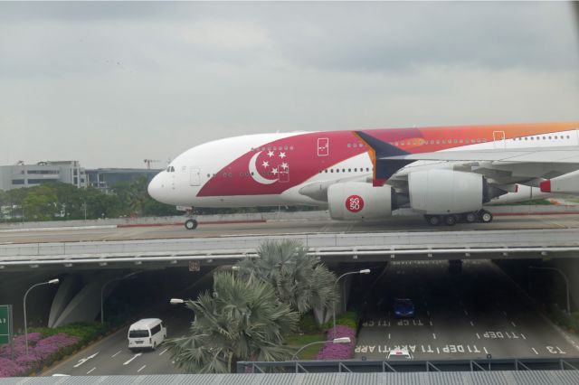 Airbus A380-800 (9V-SKJ) - 9th August 2015: While taxiing to the gate at Changi, an encounter with another Singapores A380 in 50th anniversary livery.