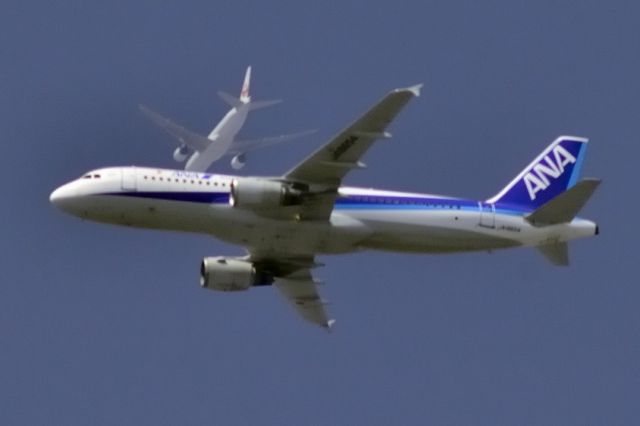 Airbus A320 (JA8654) - Crossing