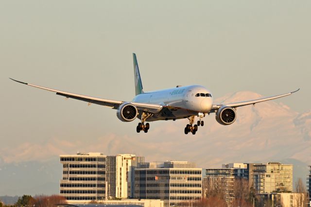 BOEING 787-10 Dreamliner (B-17802)