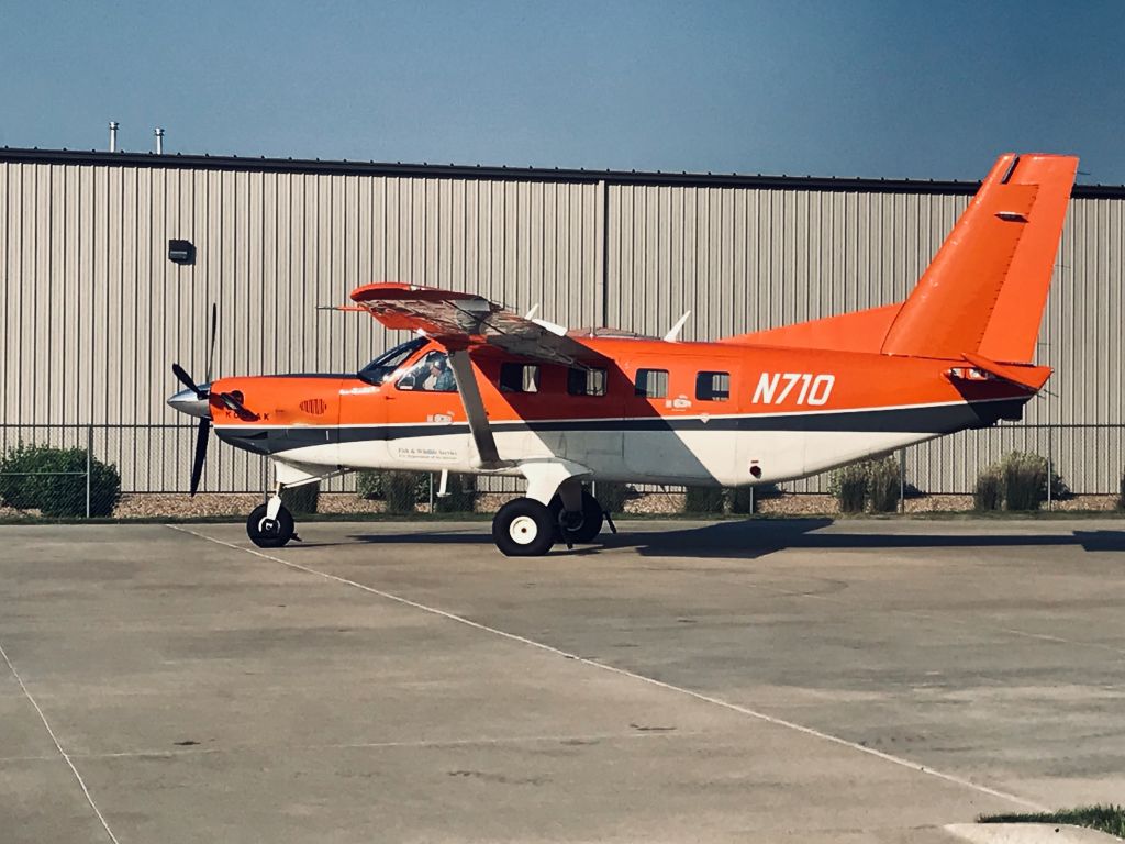 Quest Kodiak (N710)