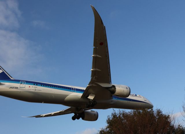 Boeing 787-8 (JA876A) - 成田東峰神社