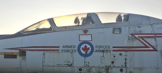 10-1028 — - The unmistakeable office of the CF-101B “Voodoo” (101028) at Hillsborough, New Brunswick.  The mainstay of Canada’s contribution to NORAD from 1961 to 1984, this particular aircraft ended its career with 416 “Lynx” Tactical Fighter Squadron based at Canadian Forces Base Chatham, New Brunswick.  Like almost every Canadian Voodoo, this aircraft wears the “RCAF Flash” along the fuselage and nose.  Note the high-power searchlight mounted on the fuselage below the “Airborne Interceptor Navigator” seat: it was used to illuminate target aircraft – often Tu-95 “Bear” – during night-time intercepts.