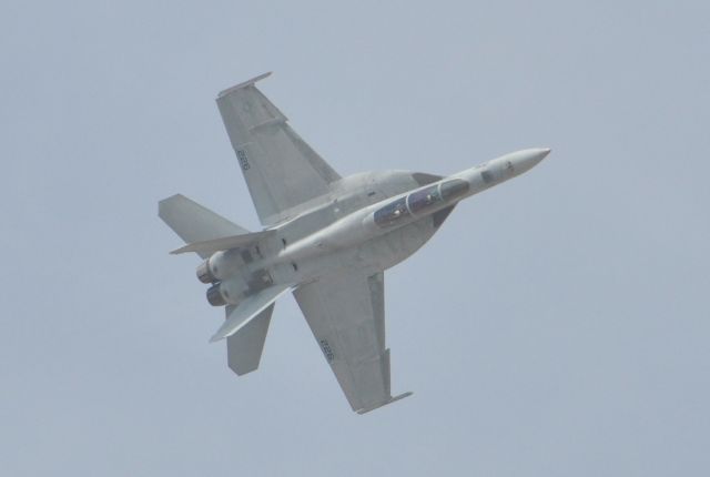 McDonnell Douglas FA-18 Hornet —