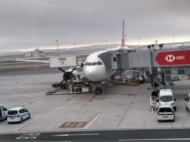 Airbus A330-300 (TC-LOE) - Turkish Airlines Airbus A330-300 Boarding at the New Istanbul Airport in 2019