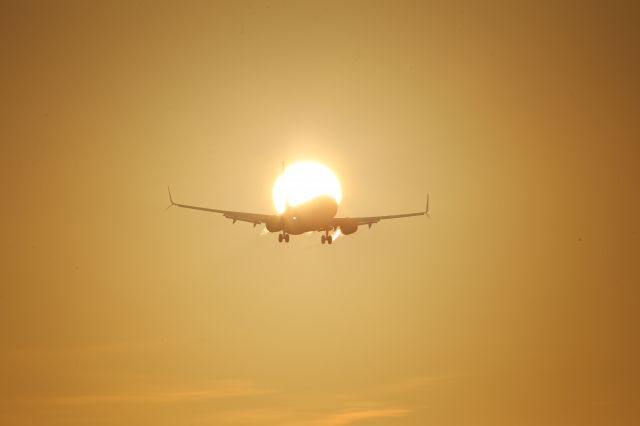 Boeing 737-800 (N8552Z)