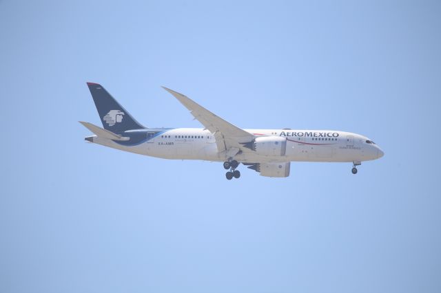 Boeing 787-8 (XA-AMR)