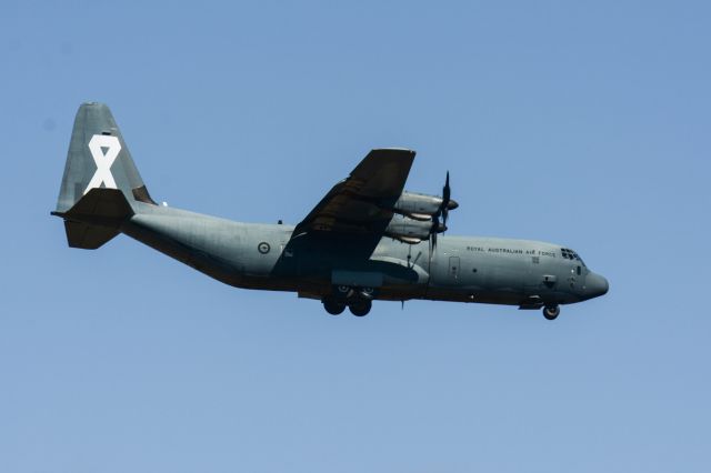 Lockheed C-130 Hercules (A97464)