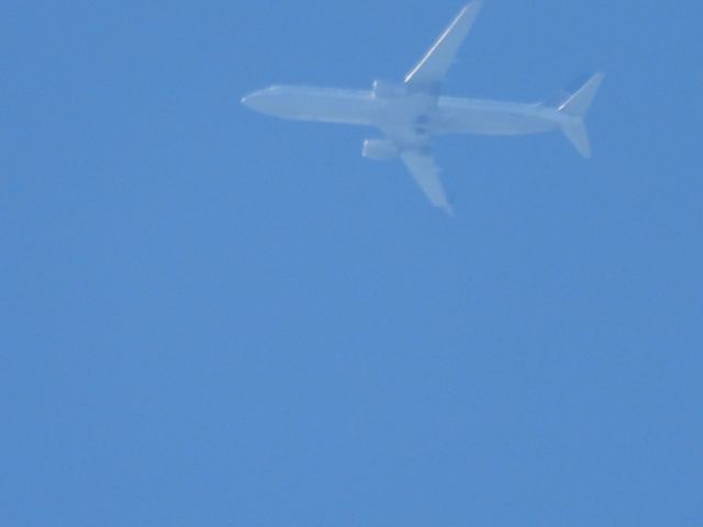 Boeing 737-900 (N36447) - UAL1944br /ORD-PHXbr /05/12/22