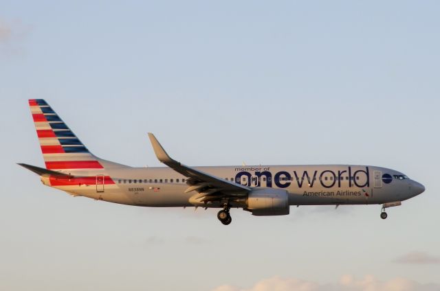 Boeing 737-800 (N838NN) - "One World Livery!