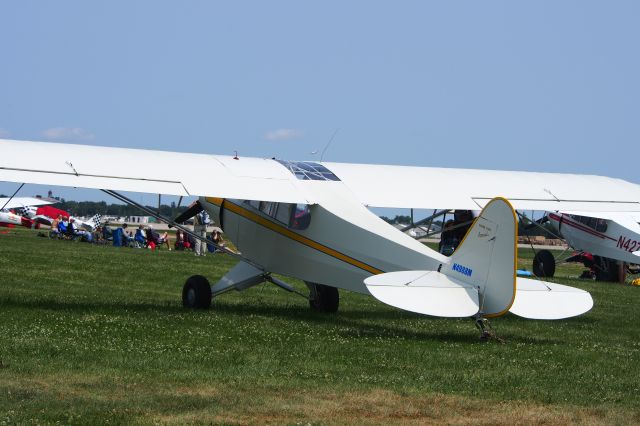 Piper L-21 Super Cub (N4988M)