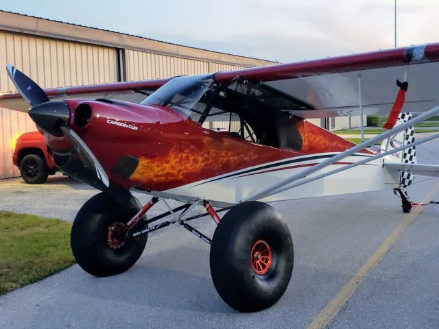 Piper L-21 Super Cub (N531WJ) - N531WJ