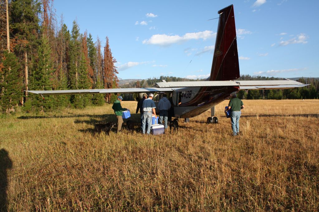 — — - Norman Islander at Chamberlain Basin airstrip, Idaho.