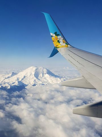 Boeing 737-700 (N560AS) - Flying over Mt. Rainier, Washington.