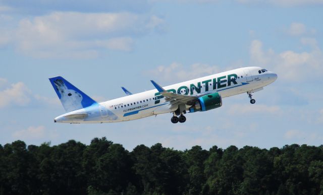 Airbus A320 (N304FR) - Im 30 years old, but when I see a rabbit, the inner kid comes screaming out.  "BUNNY!!!!", I announced to the entire RDU observation deck, to everyones annoyance.