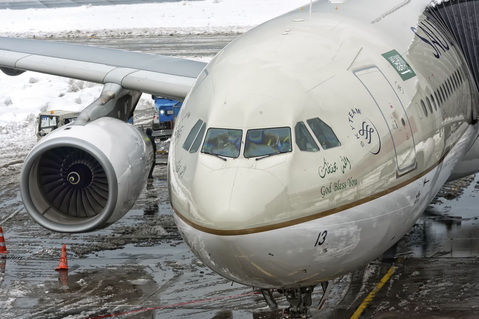 Airbus A330-300 (HZ-AQ13) - 9th Jan., 2017