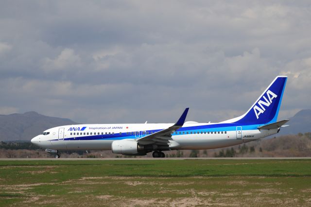 Boeing 737-800 (JA66AN) - May 4th 2018:HKD-ITM.