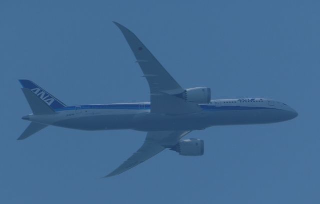 Boeing 787-8 (JA924A)