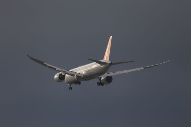 Boeing 787-9 Dreamliner (TC-LLI)