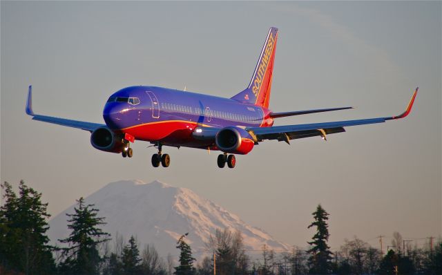 BOEING 737-300 (N619SW) - Southwest Airlines 737-300 N619SW.... landing late afternoon at Paine Field. Mt Rainier in the background - 2/06/12