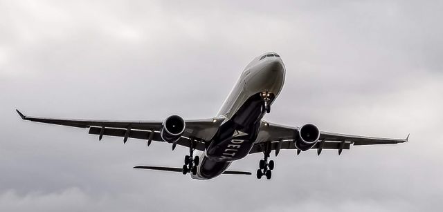 Airbus A330-300 (N807NW) - A Delta A330-300 on final for runway 4L into DTW.