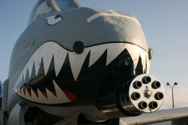 Fairchild-Republic Thunderbolt 2 — - The business end of an A10 at the 2011 Great Georgia Airshow