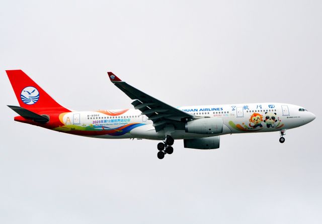 Airbus A330-200 (B-8962) - 2025 World Games Chengdu livery.