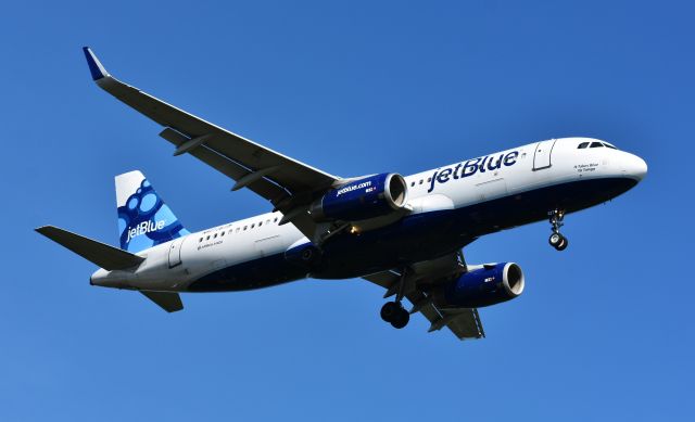 Airbus A320 (N827JB) - On short final for 23R, arriving from JFK, "It Take Blue To Tango" - my favorite livery on an A320.  Happy Birthday, Airbus!